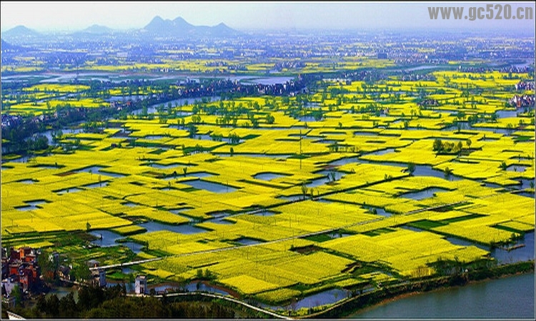 风景再美。没人欣赏。也是一种忧伤…生活再好，没人分享，也是一种凄凉。997 / 作者:建筑19551213 / 帖子ID:106024