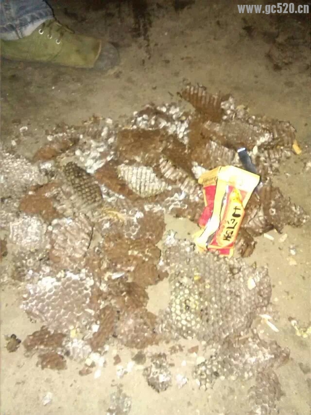 宵夜 就是你了!596 / 作者:罗少爷 / 帖子ID:106027