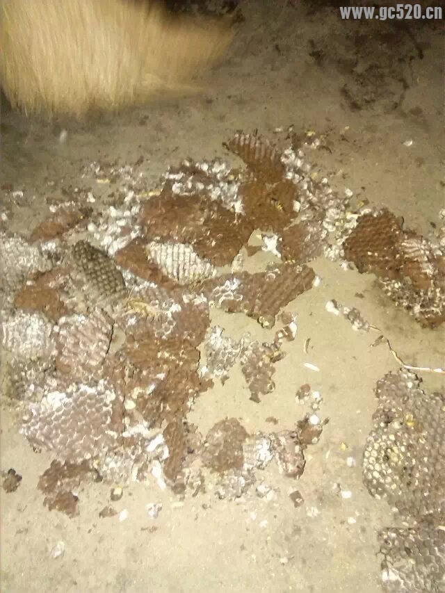 宵夜 就是你了!143 / 作者:罗少爷 / 帖子ID:106027