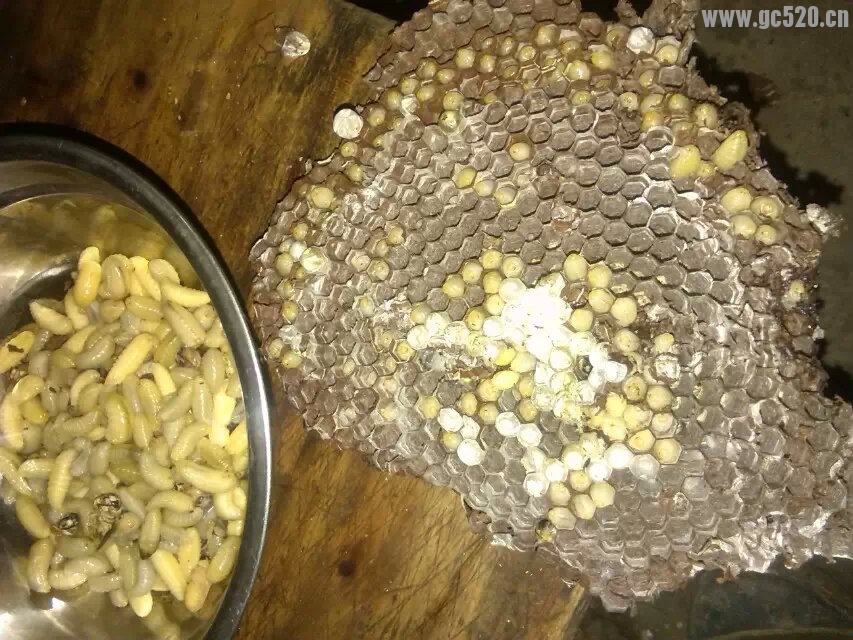 宵夜 就是你了!143 / 作者:罗少爷 / 帖子ID:106027