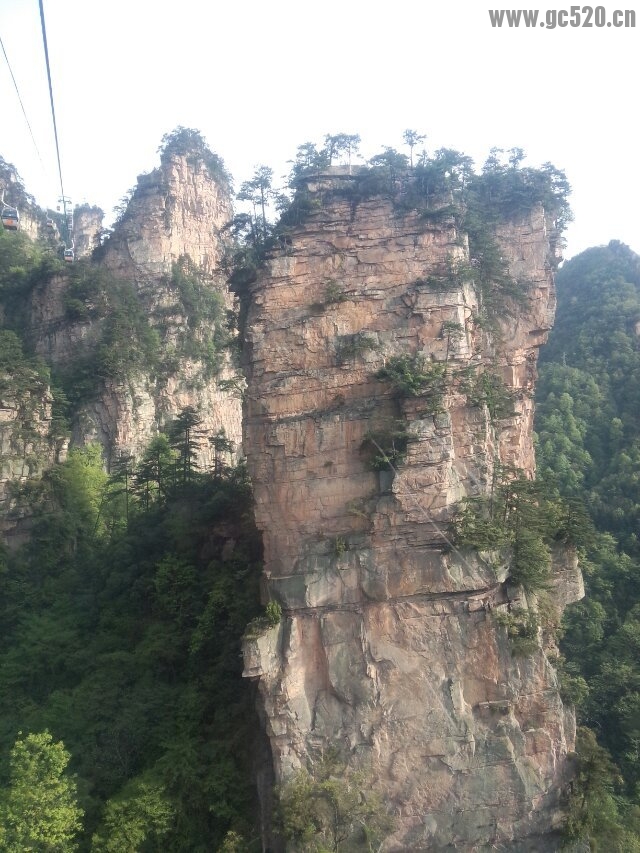 分享：张家界的山，毛泽东的家909 / 作者:天情☆ / 帖子ID:106054