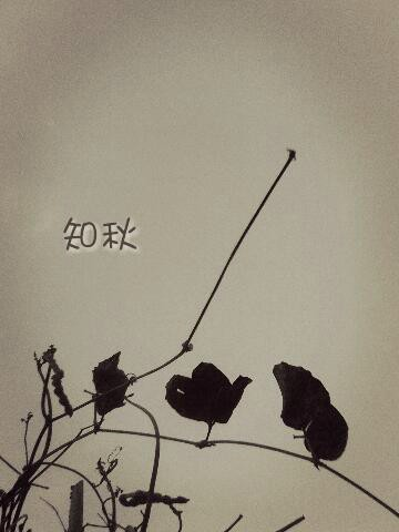 最美的风景在路上322 / 作者:若無其事 / 帖子ID:106084