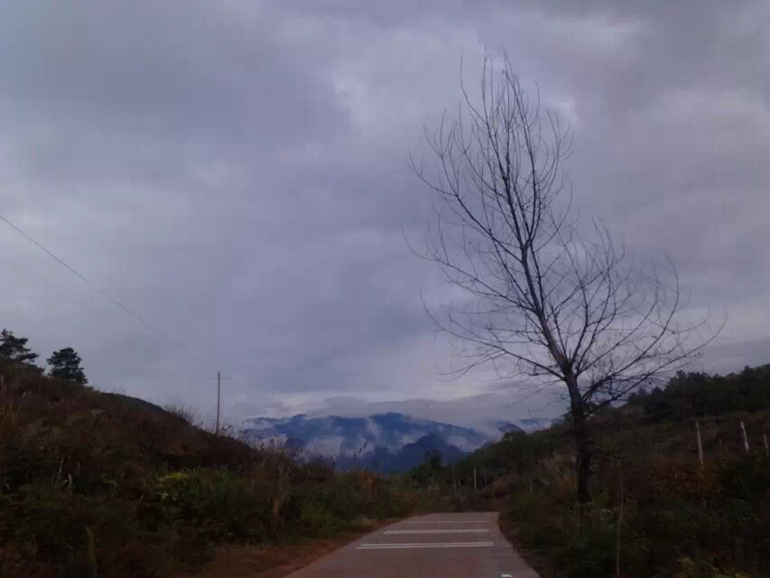 最美的风景在路上700 / 作者:若無其事 / 帖子ID:106084