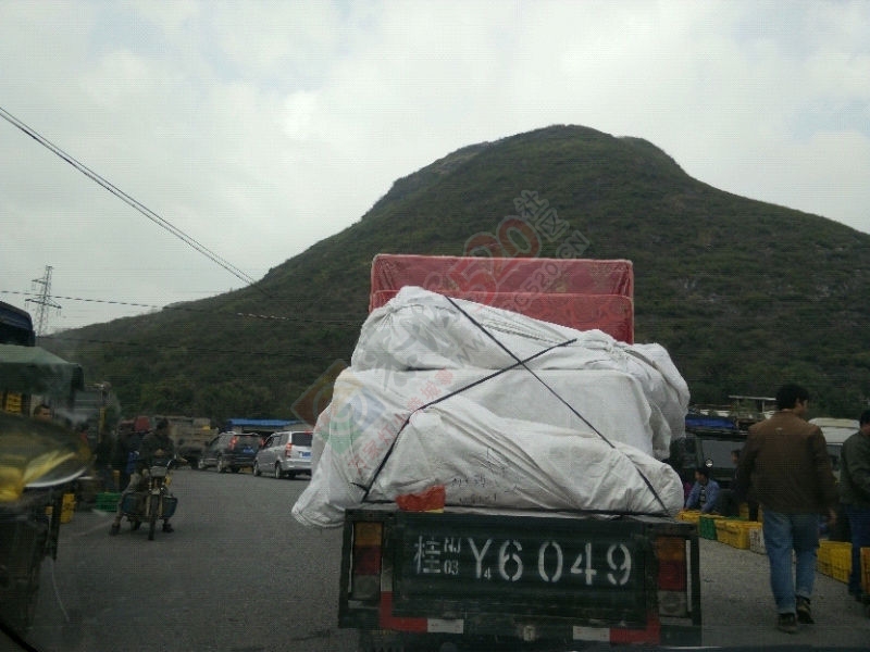 堵城嘉会欢迎您！632 / 作者:橙子℃狂想曲 / 帖子ID:106094