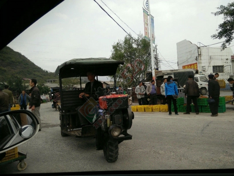 堵城嘉会欢迎您！148 / 作者:橙子℃狂想曲 / 帖子ID:106094