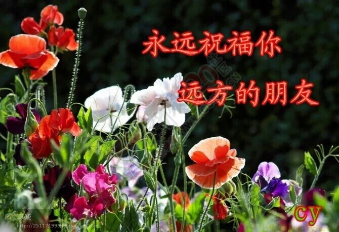 好美的一段话…655 / 作者:建筑19551213 / 帖子ID:106099