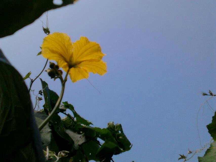 外婆家的。。307 / 作者:若無其事 / 帖子ID:106113