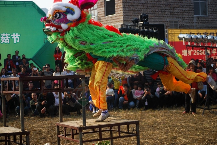 恭城西岭乡舞狮队..........342 / 作者:灬小李 / 帖子ID:106114