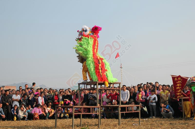 恭城西岭乡舞狮队..........214 / 作者:灬小李 / 帖子ID:106114