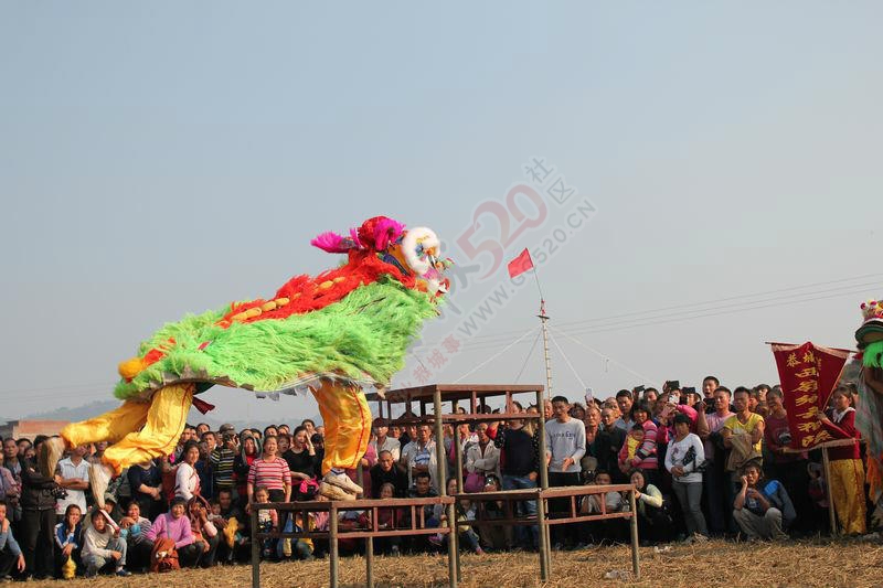 恭城西岭乡舞狮队..........415 / 作者:灬小李 / 帖子ID:106114