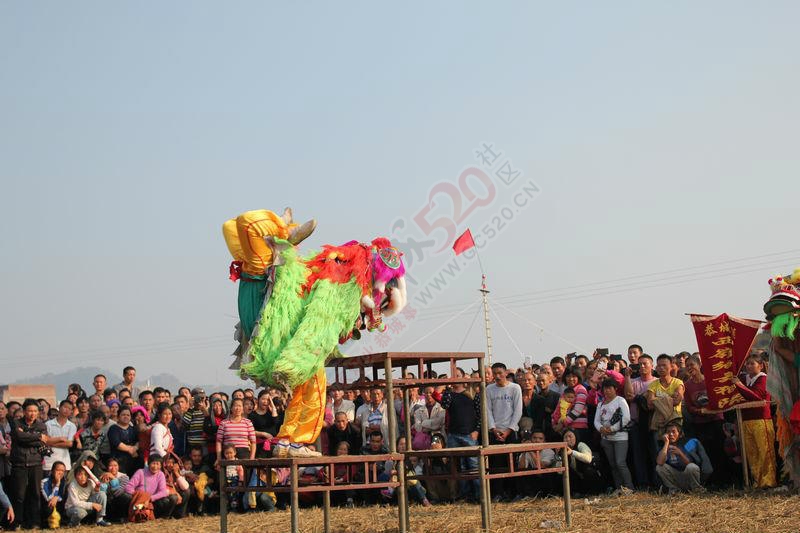 恭城西岭乡舞狮队..........411 / 作者:灬小李 / 帖子ID:106114