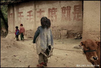 你有勇气看完这些相片吗209 / 作者:蓝天鱼儿 / 帖子ID:106128