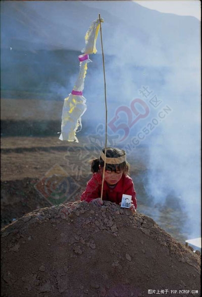 你有勇气看完这些相片吗367 / 作者:蓝天鱼儿 / 帖子ID:106128