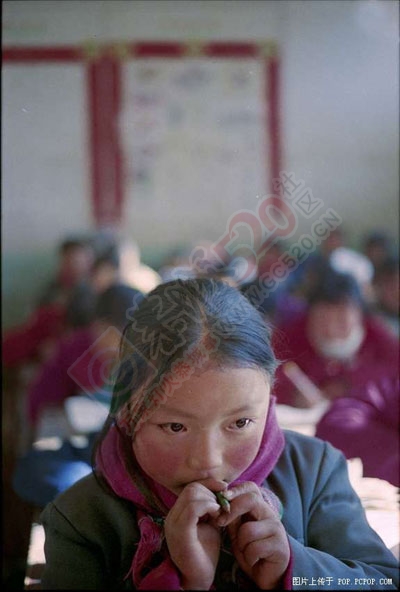 你有勇气看完这些相片吗10 / 作者:蓝天鱼儿 / 帖子ID:106128