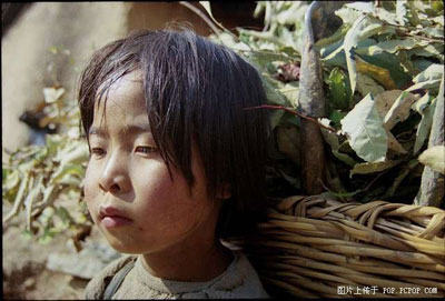 你有勇气看完这些相片吗619 / 作者:蓝天鱼儿 / 帖子ID:106128