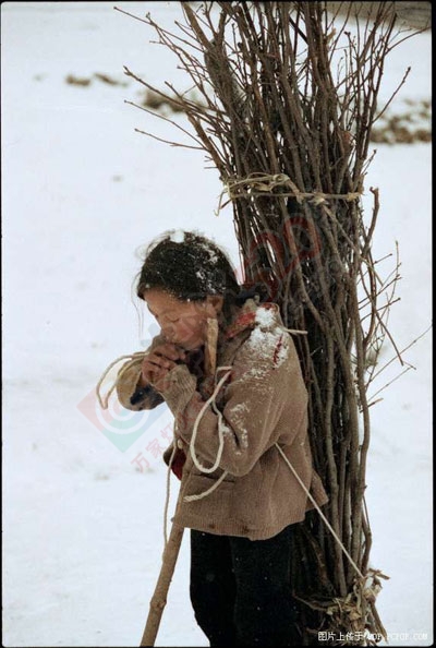 你有勇气看完这些相片吗297 / 作者:蓝天鱼儿 / 帖子ID:106128