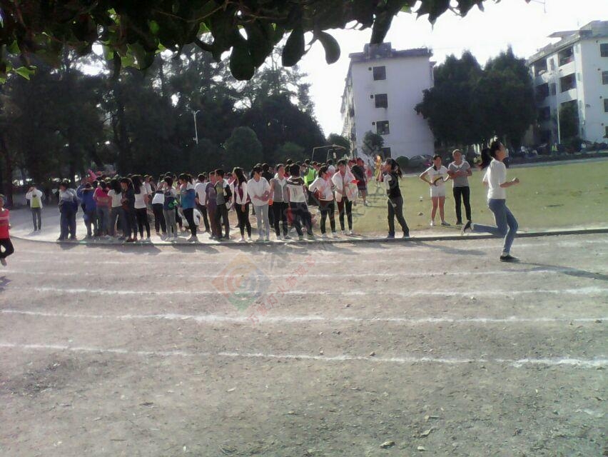 莲花中学校第31届运会304 / 作者:恭城520小奈姐姐 / 帖子ID:106132