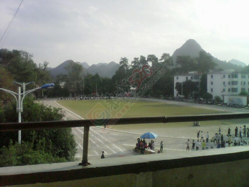 莲花中学校第31届运会681 / 作者:恭城520小奈姐姐 / 帖子ID:106132