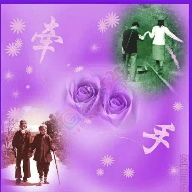 在她眼里，儿子永远需要她的帮忙，她在处处呵护着我们…875 / 作者:建筑19551213 / 帖子ID:106139