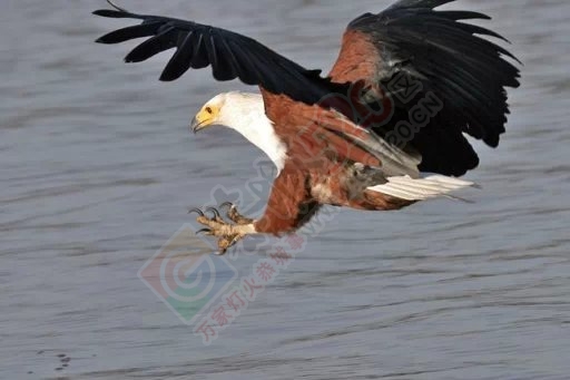 踏踏实实的做事，兢兢业业的工作…970 / 作者:建筑19551213 / 帖子ID:106159