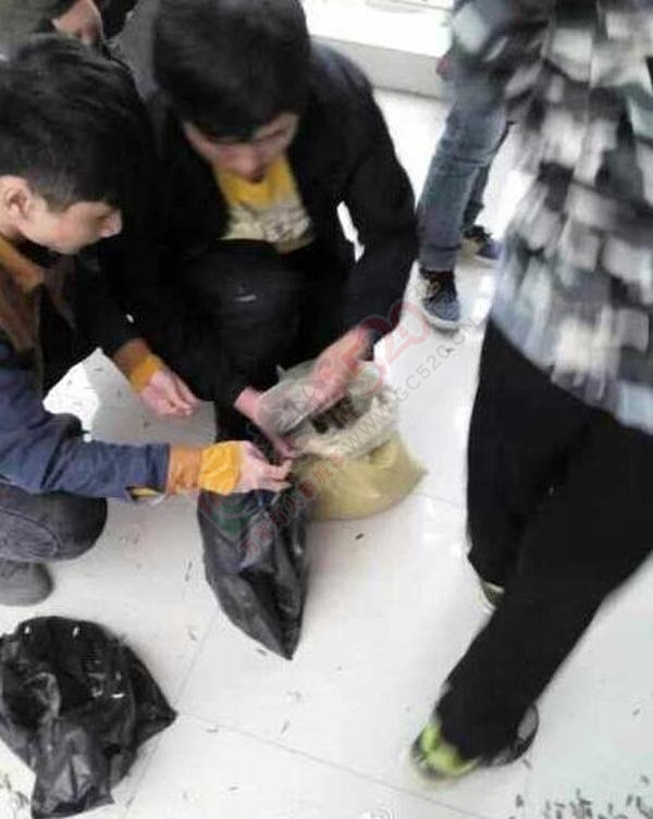 上课嗑瓜子霸气老师买100斤给学生嗑个够!587 / 作者:红通通 / 帖子ID:106183