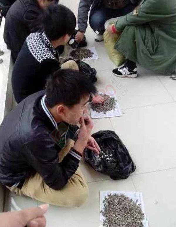 上课嗑瓜子霸气老师买100斤给学生嗑个够!661 / 作者:红通通 / 帖子ID:106183