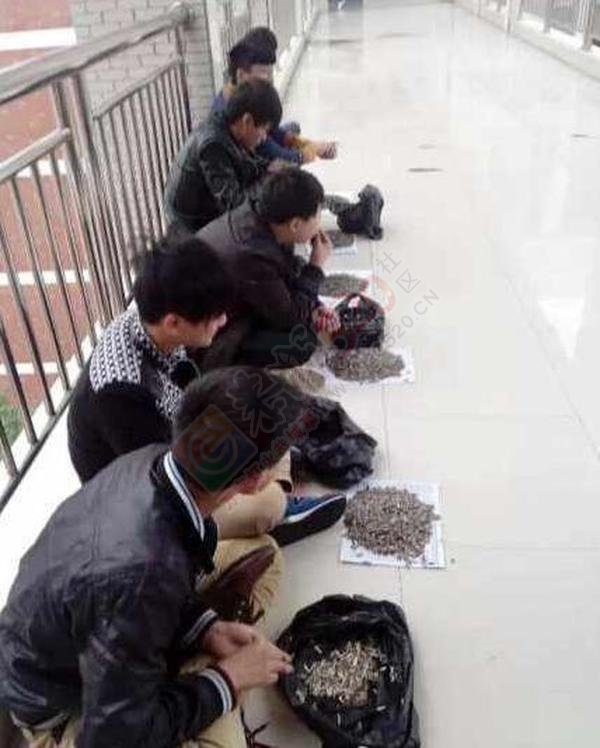 上课嗑瓜子霸气老师买100斤给学生嗑个够!747 / 作者:红通通 / 帖子ID:106183