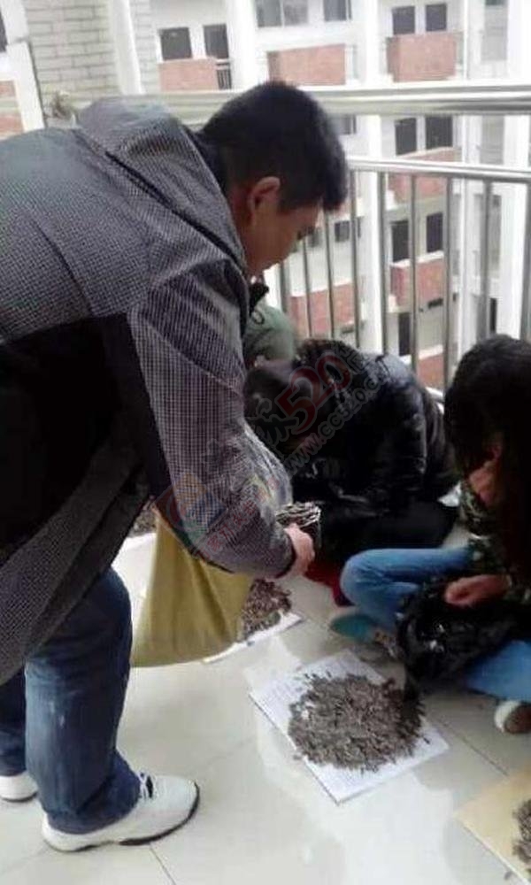 上课嗑瓜子霸气老师买100斤给学生嗑个够!818 / 作者:红通通 / 帖子ID:106183