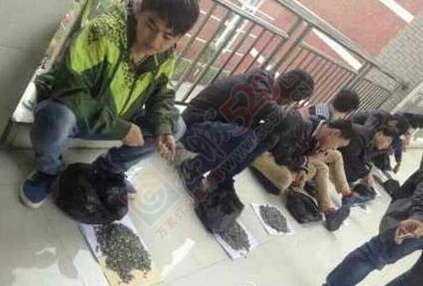 上课嗑瓜子霸气老师买100斤给学生嗑个够!202 / 作者:红通通 / 帖子ID:106183