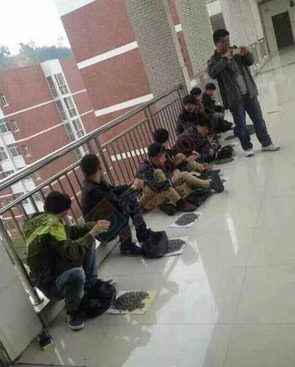 上课嗑瓜子霸气老师买100斤给学生嗑个够!99 / 作者:红通通 / 帖子ID:106183