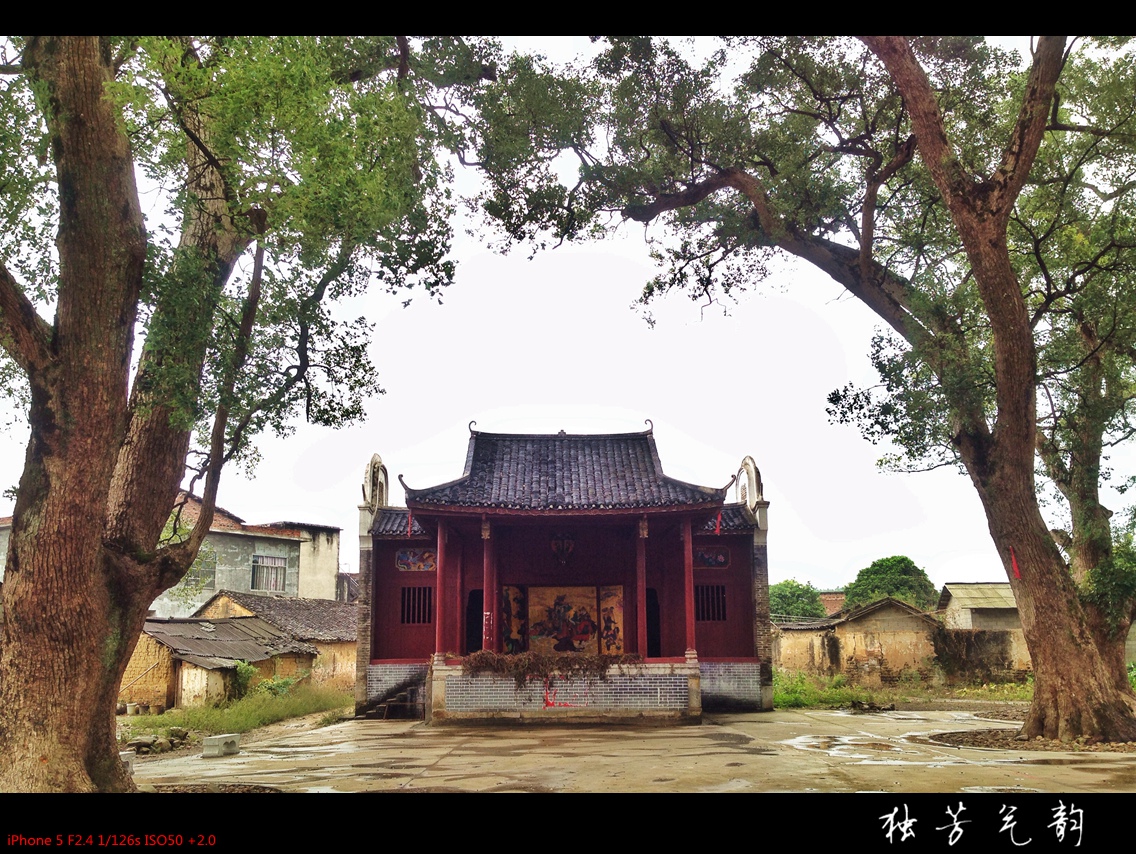 十一月手机随拍141 / 作者:独芳气韵 / 帖子ID:106193