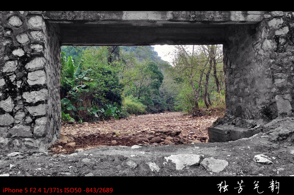 十一月手机随拍343 / 作者:独芳气韵 / 帖子ID:106193
