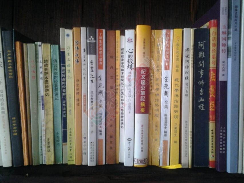 游子归来，田园的生活回归宁静。850 / 作者:多少执念 / 帖子ID:106273