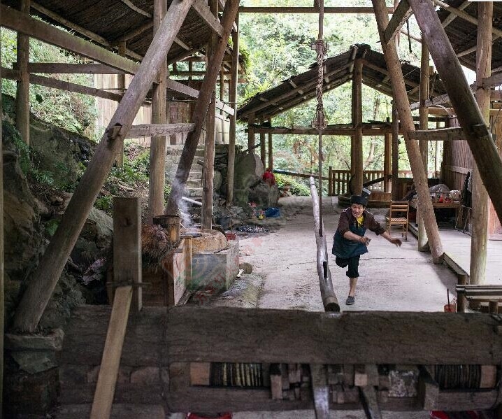 见过这样子榨油的没197 / 作者:和平街林广 / 帖子ID:106274