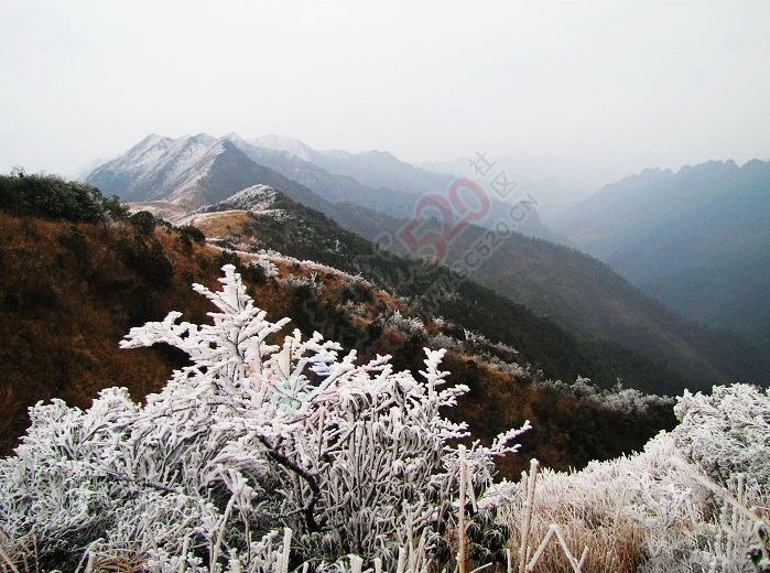 十二月的恭城如此之美--恭城旅游攻略240 / 作者:箩筐索 / 帖子ID:106277