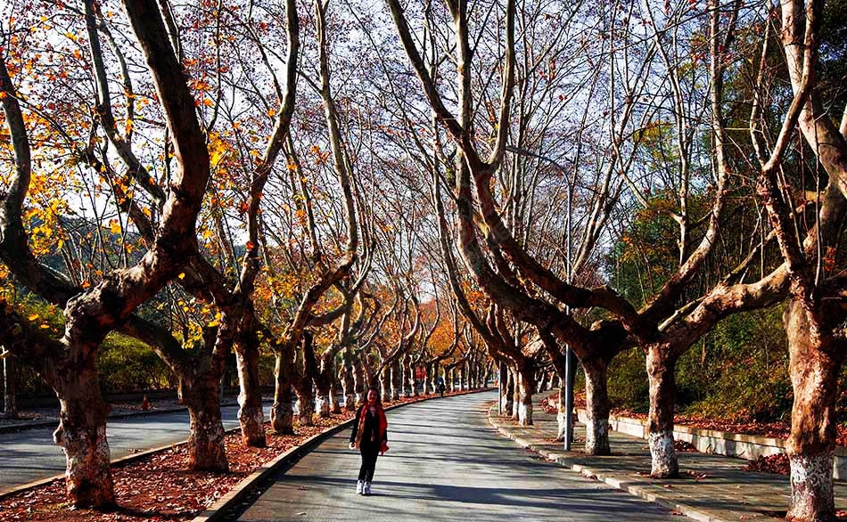 改变自己从改变语言开始！…933 / 作者:建筑19551213 / 帖子ID:106285