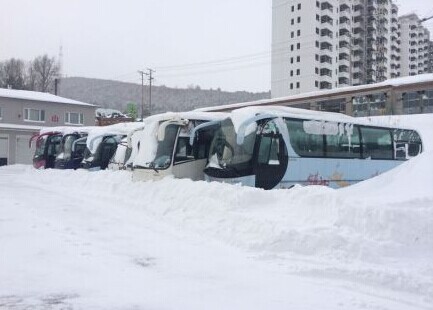 黑龙江抚远县已连降暴雪50多小时！443 / 作者:猫小萌 / 帖子ID:106294
