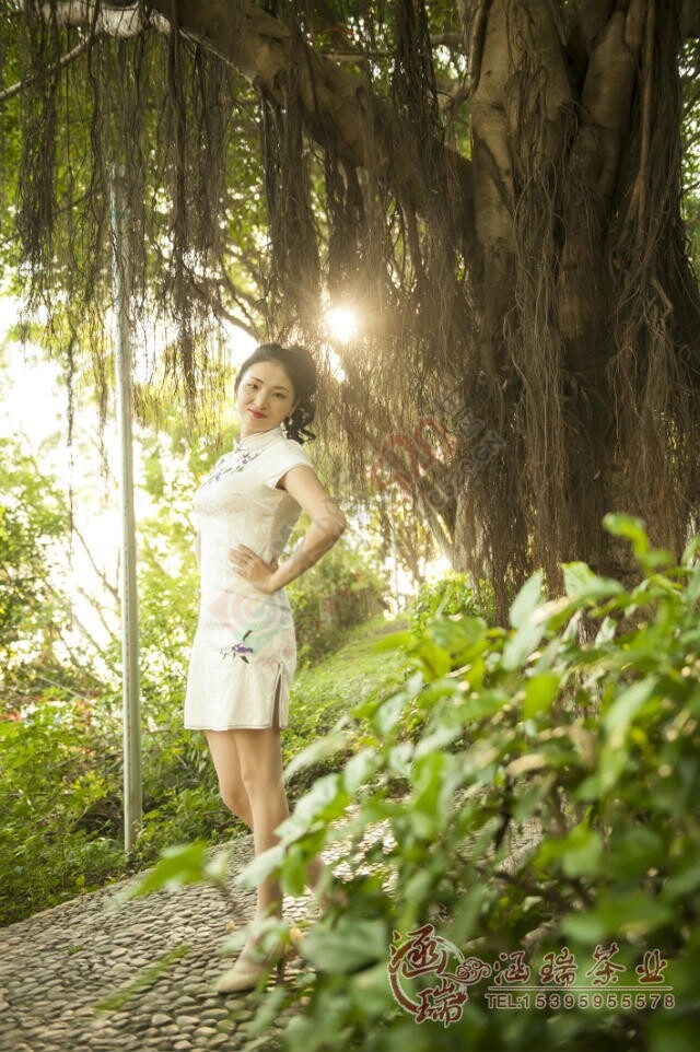 人最佳的礼物是健康…844 / 作者:建筑19551213 / 帖子ID:106305