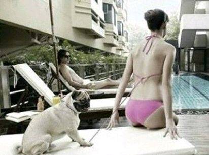 来点笑话图片481 / 作者:红通通 / 帖子ID:106312