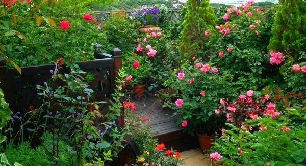 一份宽容，一份美……372 / 作者:建筑19551213 / 帖子ID:106324