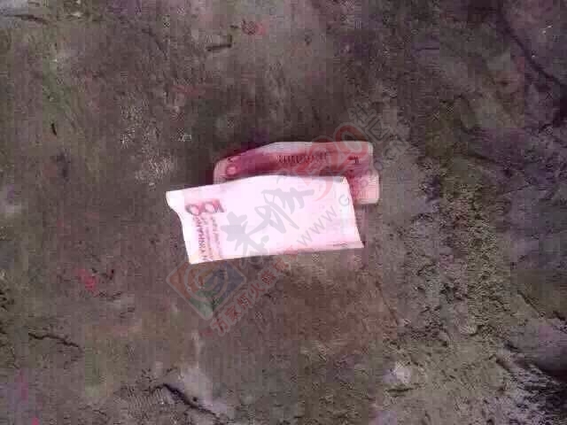 还有这么任性的么？再多来几个!666 / 作者:罗少爷 / 帖子ID:106326