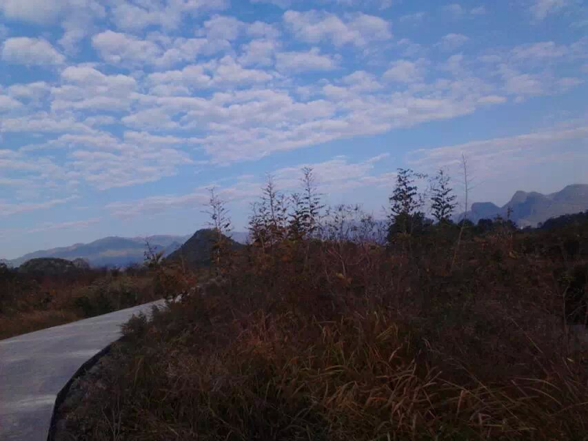 雨天的尾巴。。623 / 作者:若無其事 / 帖子ID:106328