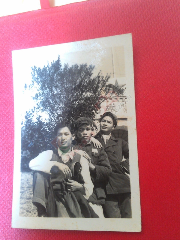 历史的尘封431 / 作者:风轻云_gz0k8 / 帖子ID:106372