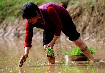 人生路上需要勤奋！…943 / 作者:建筑19551213 / 帖子ID:106457