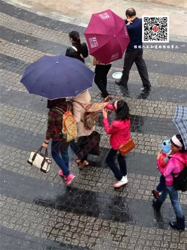 快过年了，小偷也开始猖狂行动起来准备过年钱了665 / 作者:红通通 / 帖子ID:106468