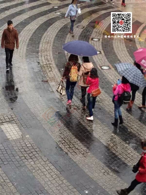 快过年了，小偷也开始猖狂行动起来准备过年钱了807 / 作者:红通通 / 帖子ID:106468