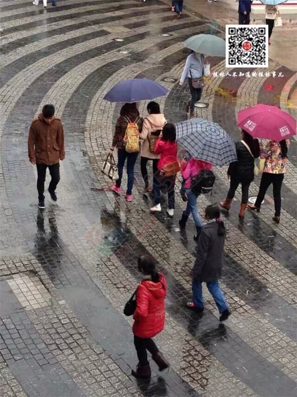 快过年了，小偷也开始猖狂行动起来准备过年钱了929 / 作者:红通通 / 帖子ID:106468