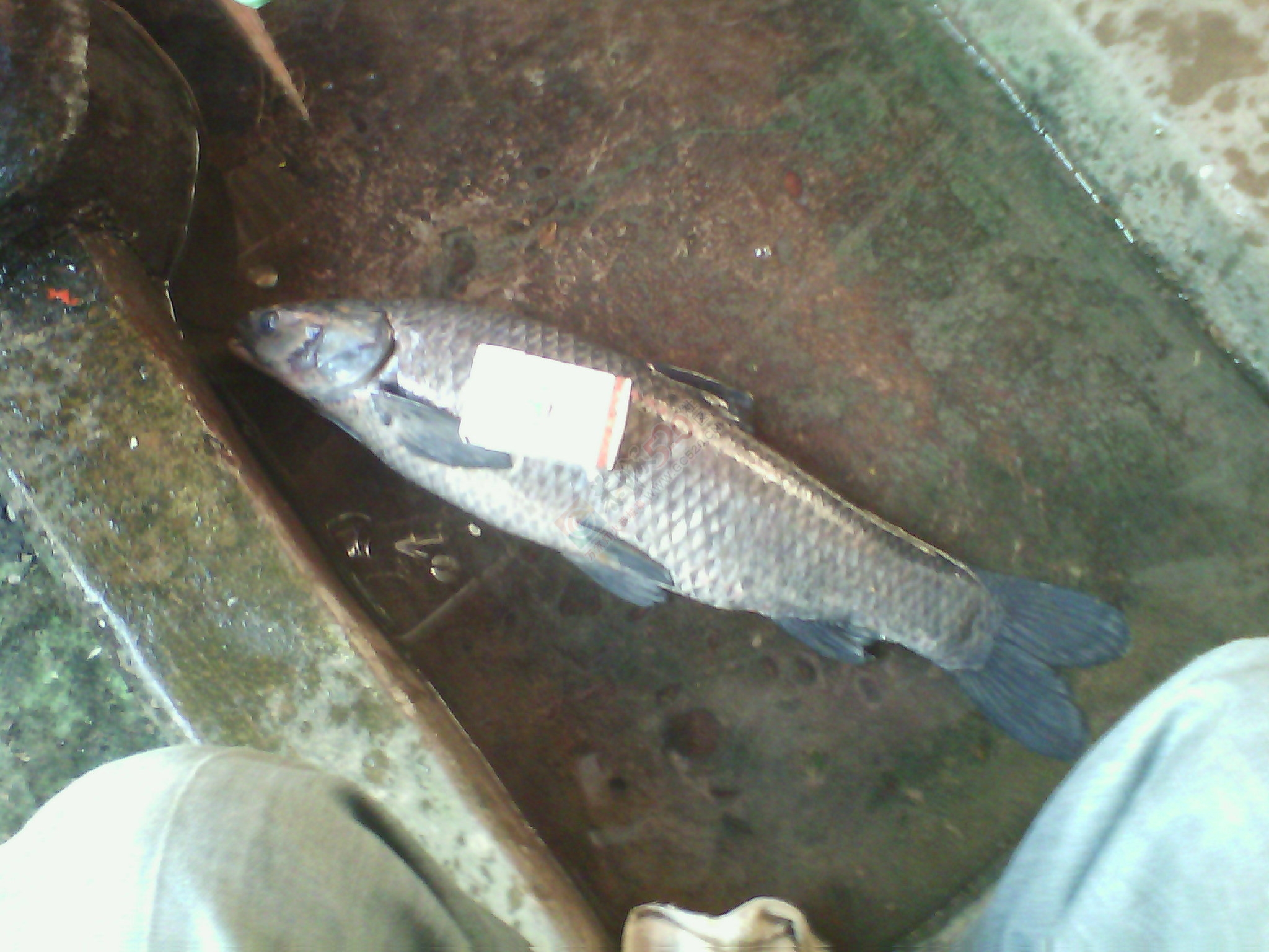 大。。。就是大462 / 作者:否定一切 / 帖子ID:106473