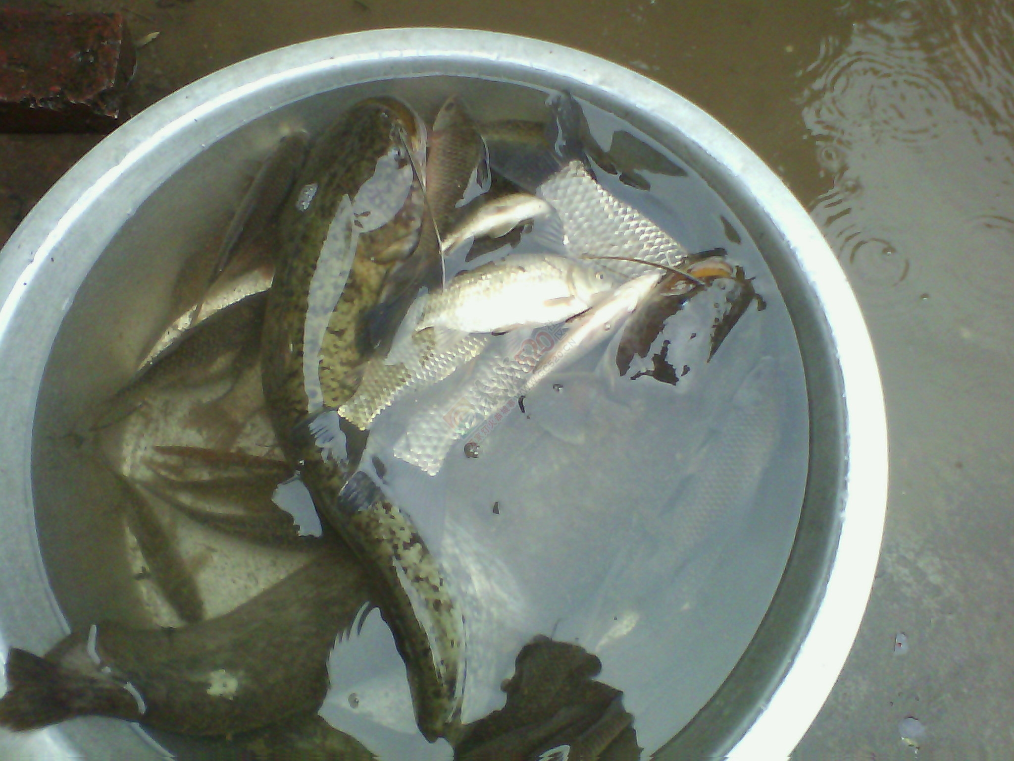 大。。。就是大127 / 作者:否定一切 / 帖子ID:106473