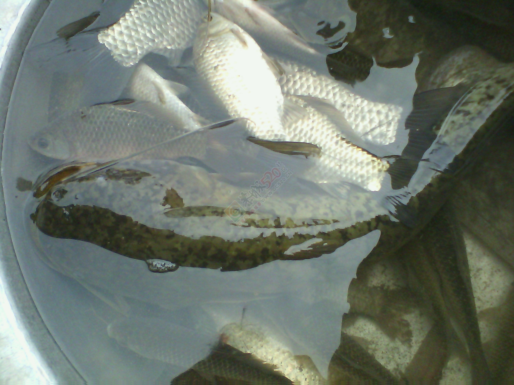 大。。。就是大746 / 作者:否定一切 / 帖子ID:106473